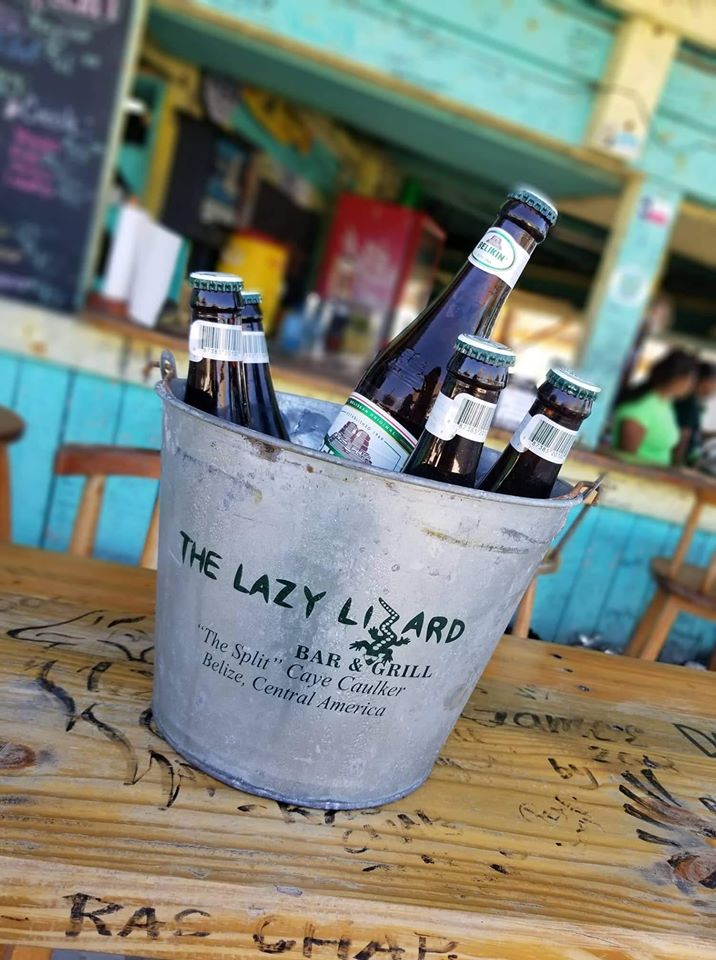 Caye Caulker The Lazy Lizard