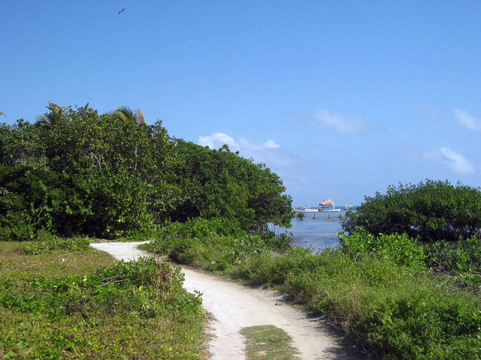 Caye Caulker Nature Trail