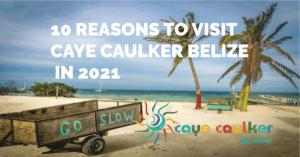 visit caye caulker belize