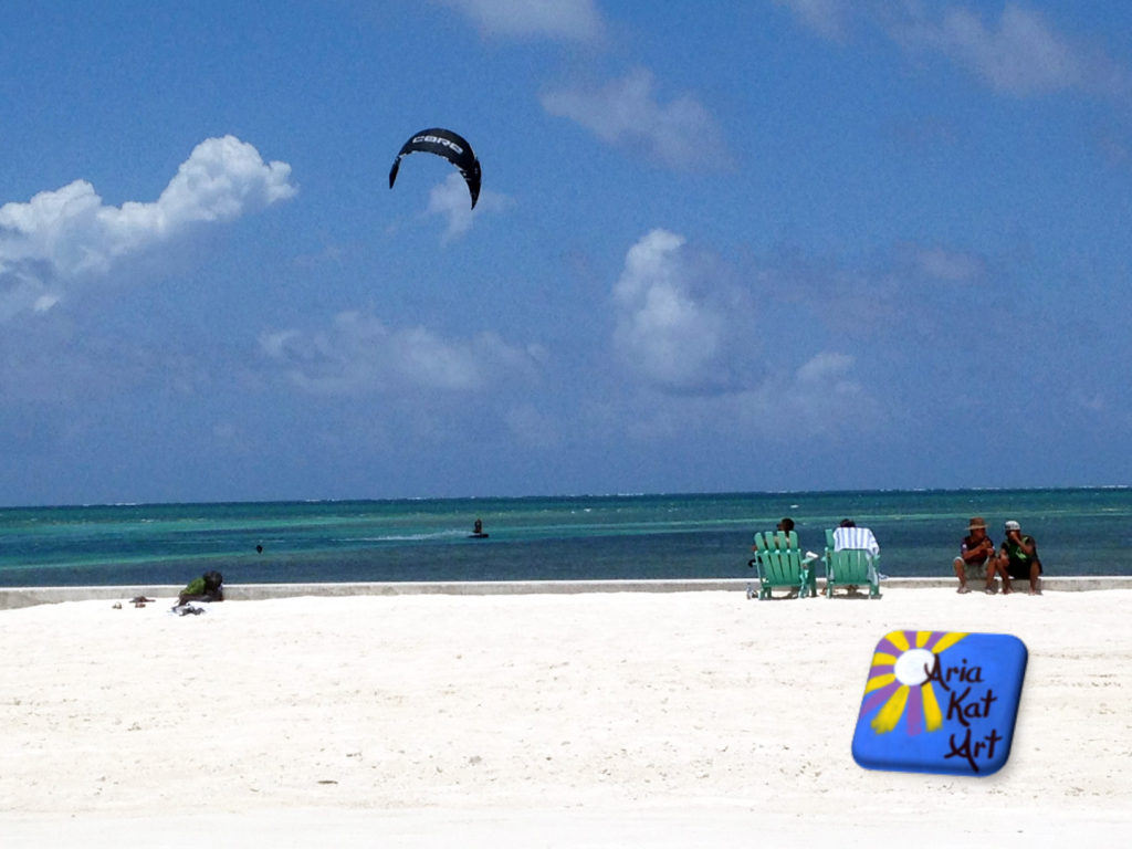 Aria Kat Art Gallery Caye Caulker