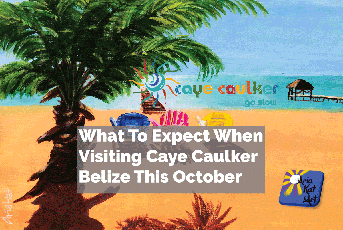 aria kat art caye caulker belize