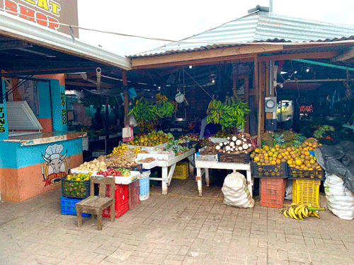 Belize City Market 2