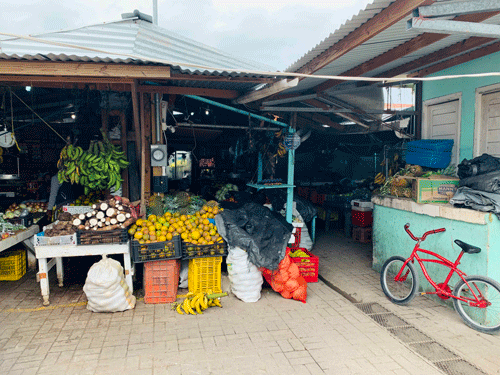 Belize City Market 4