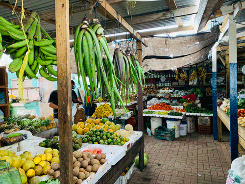 Belize City Market 5