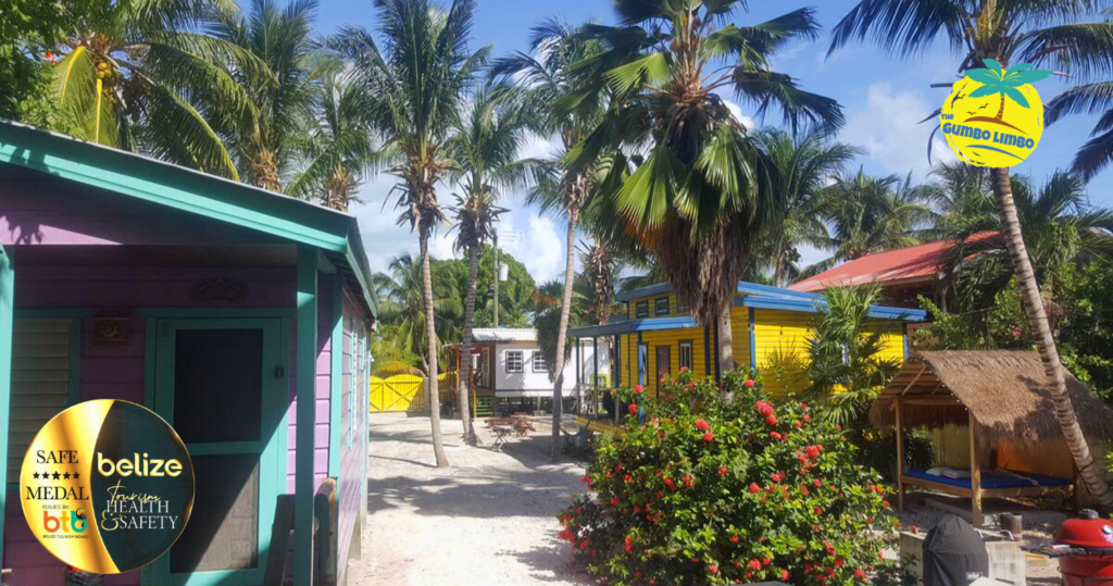 belize gold standard the gumbo limbo