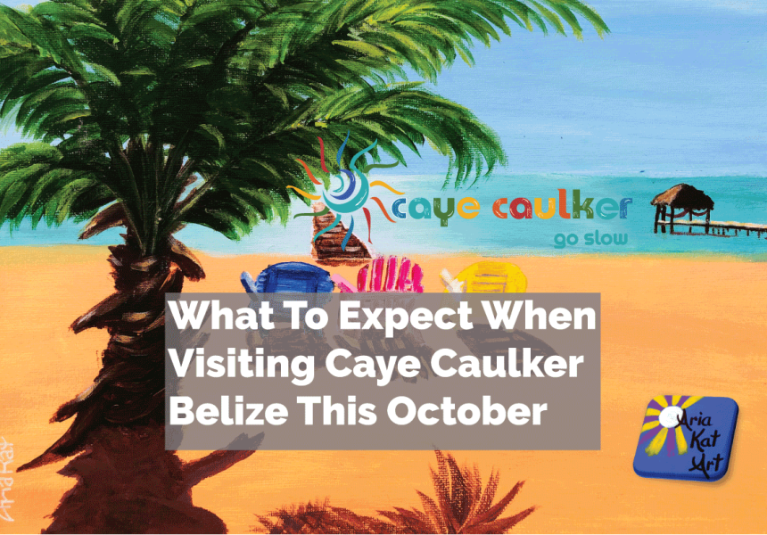 aria kat art caye caulker belize